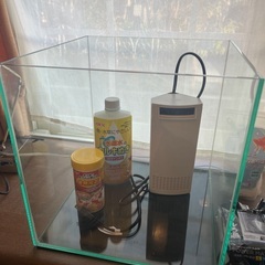 金魚水槽セット　30.30.30cmサイズの画像