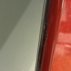 ローテーブル　座卓　ダイニングテーブル　木製テーブル　通産大臣指定伝統的工芸品　MORISHIGE 斉水　天然木化粧合板　漆塗装の画像