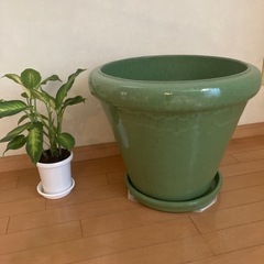 美品　大型テラコッタ　希少の画像