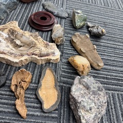 【差し上げます】鑑賞石の画像