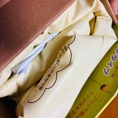 年末年始限定　ベビーエアバスの画像