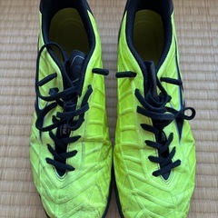 【お譲りします】MIZUNO フットサルシューズ（27.5cm）の画像