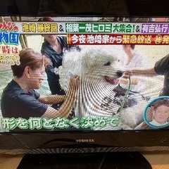 無料！TOSHIBAテレビREGZA19型の画像