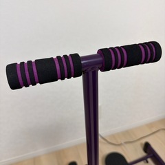 レッグマジックXの画像