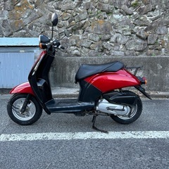 人気車today 外装カウル社外新品　タイヤ前後新品　シート新品張替え（配送サービスあり）の画像