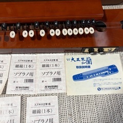 スズキ大正琴　蘭　アンプ ソプラノ絃 付きの画像