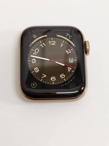 Apple Watch Series 5/GPS+セルラー/40mm/A2156/ステンレス〈MWX62J/A〉 (1)