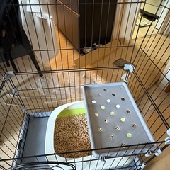 ケージ キャットケージ の画像