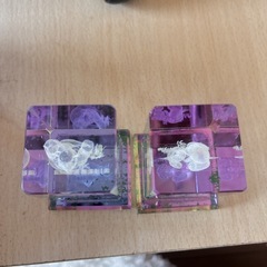 クリスタル カンガルーコアラ 3D ペーパーウエイト置物の画像