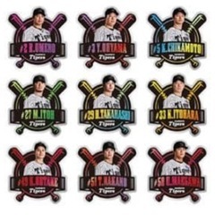 阪神タイガース 2025年 ファンクラブ応援デー ピンバッジ 全種類の画像