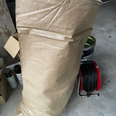 黒い紐　ヒモ　　の画像