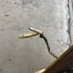 動作未確認 ジャンク 黄色回転灯 2種類の画像