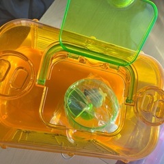 ルックルックフォーチュンミニの画像