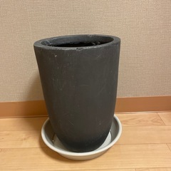 食器棚兼レンジ台　　　　ソファ2人掛け　扇風機　鉢植え　の画像