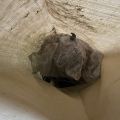 ビニールハウスの部品の画像