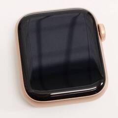 Apple Watch SE 第1世代/GPS/40mm/A2351/ゴールド〈MYDN2J/A〉 (2)の画像