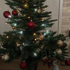 クリスマスツリーの画像