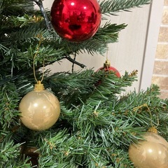 クリスマスツリーの画像