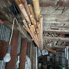 竹　冬囲の画像