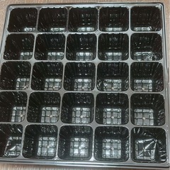 花の苗　16個③ 　何が咲くかお楽しみの画像