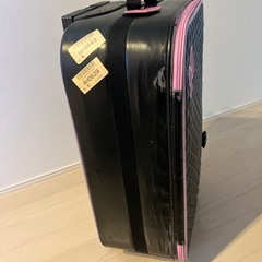 ミニーちゃん キャリーバックの画像