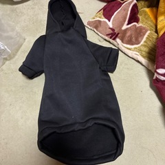 ワンチャン🐶 洋服の画像