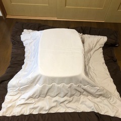 【取引中】NITORI×TEIJIN こたつ掛ふとん　正方形の画像