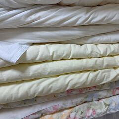 布団、座布団、カーペットを無料で差し上げます。の画像