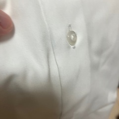 学生服 半袖Yシャツの画像