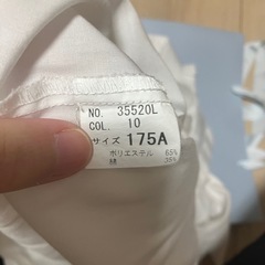 学生服 半袖Yシャツの画像