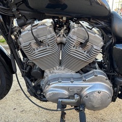 Harley-Davidson スポーツスターXL883L（2009年)車検ありの画像