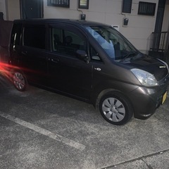 ステラ　検付き　の画像