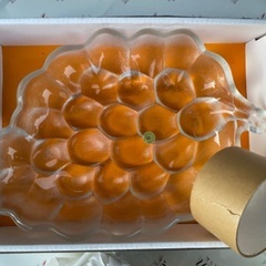 新品未使用箱付き、ガラス皿、HOYA製の画像