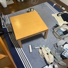 ホットカーペットの画像