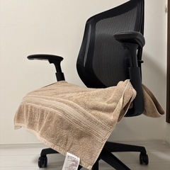 オカムラ　シルフィーの画像