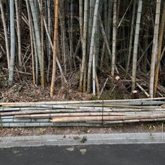 【無料】竹、焚き竹、竹炭の画像