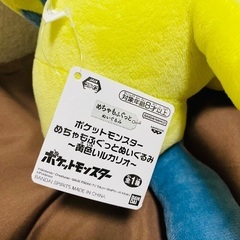 受け渡し予定者決定(28日15時〜15時半)の画像