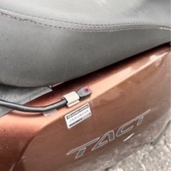 一旦受付停止！タクトの画像