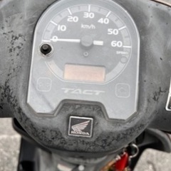 一旦受付停止！タクトの画像