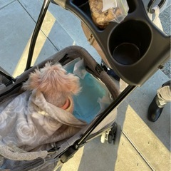 【決まりました】ペットカート ベビーカー わんちゃん用の画像