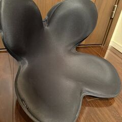 【腰痛・姿勢対策に】骨盤サポートチェア 2点まとめ売り（カーブル・スタイル）の画像