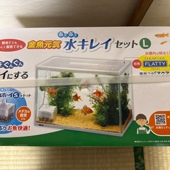 金魚　水槽の画像