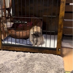 ペットゲージの画像