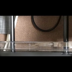 ダブルハンガーラックの画像