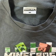 マイクラトレーナーの画像