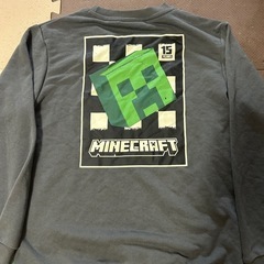 マイクラトレーナーの画像