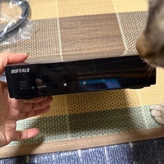 バッファローハードディスクの画像