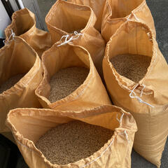 無料！年末までもう数日しか無いですがもみ殻無料で持ってって下さい　当方で袋持参してくれれば袋入れます（縛るのはやってください）の画像