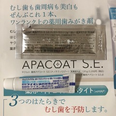 歯磨き粉　試供品２個の画像