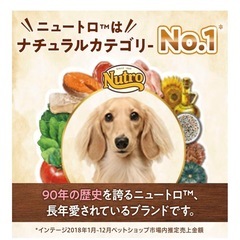 Nutroナチュラルチョイス 小型犬用 チキン&玄米 7歳から　の画像